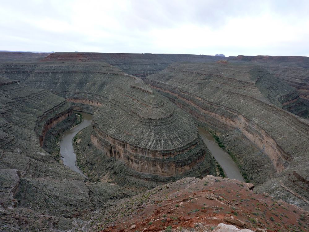gooseneck (12).JPG